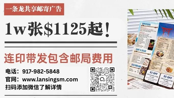 Lansing SM 印刷广告样品
